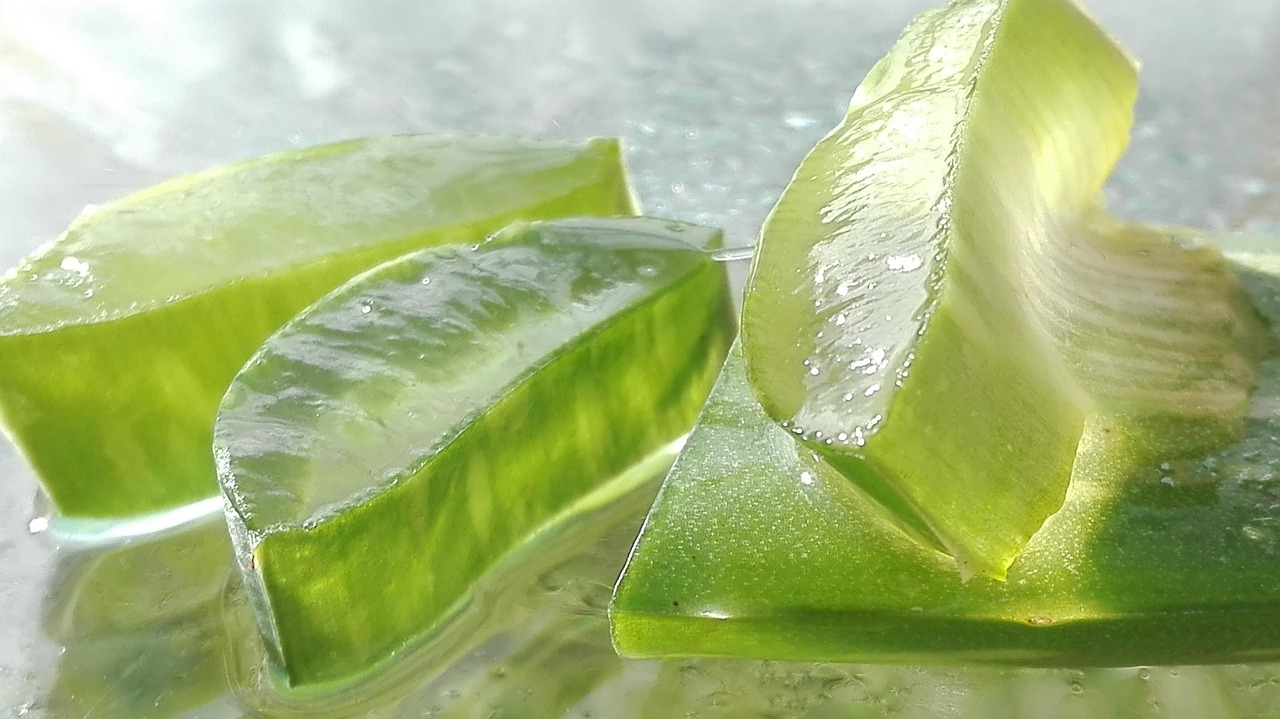 AXION ALOE TARRO 425G
