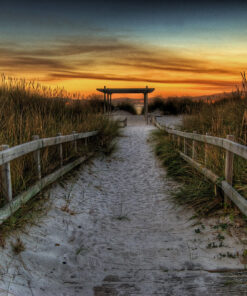 BRIDGE NARANJA