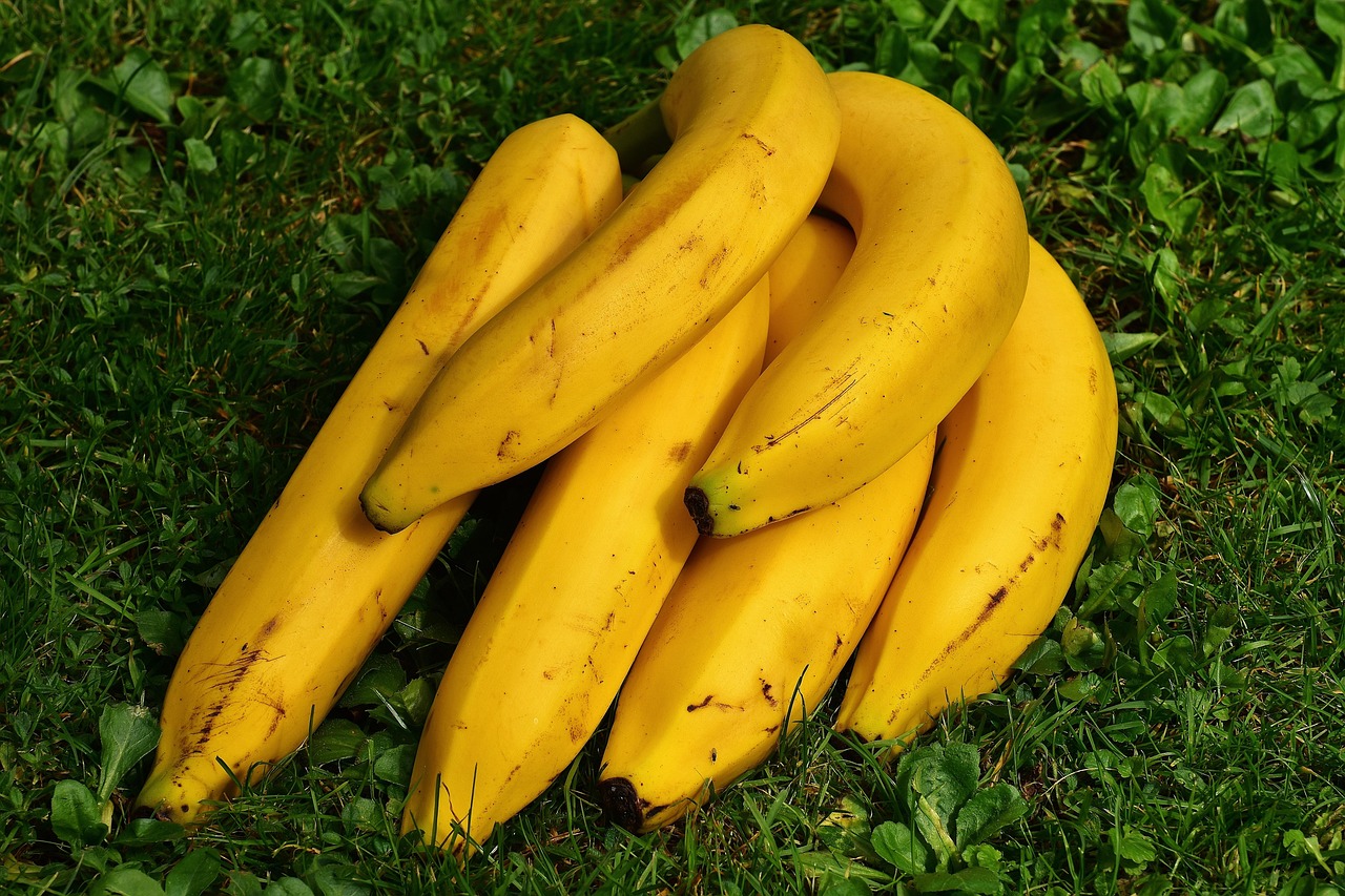 GOMITA TRULULU BANANO