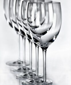 PIRANAS TRANSPARENTES