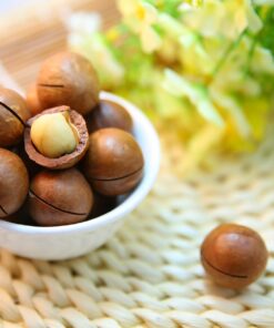 PROTEX 3PACK MACADAMIA