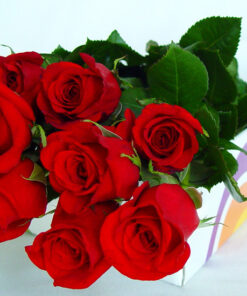RAMO DE ROSAS ROJAS