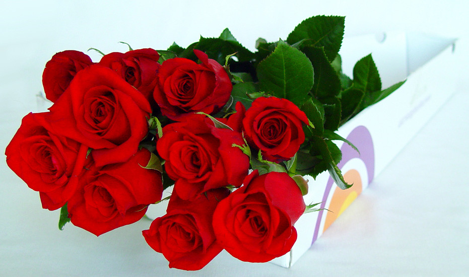 RAMO DE ROSAS ROJAS