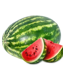 SANDIA KG