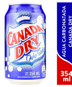 SODA CANADA DRY 2L
