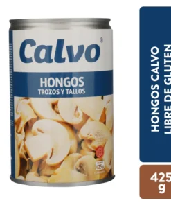TONOS HONGOS TROZOS Y TALLOS LATA 425