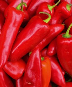 VINAGRETA SIN PICANTE 250